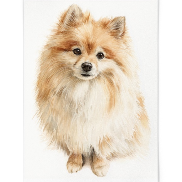 Watercolor Pomeranian Dog Portrait Art Print – Unframed Fine Art Poster - Picture 2 of 5